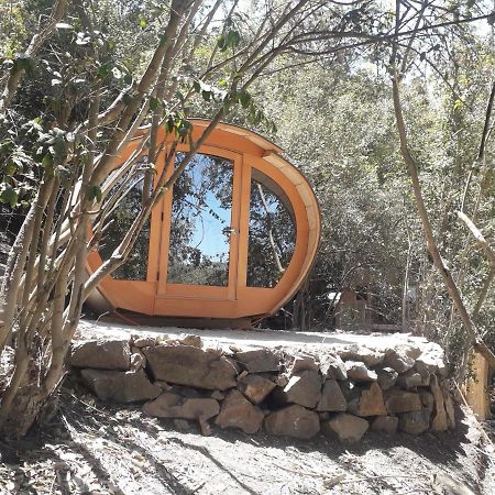 Biosfera Lodge Olmue Exterior photo