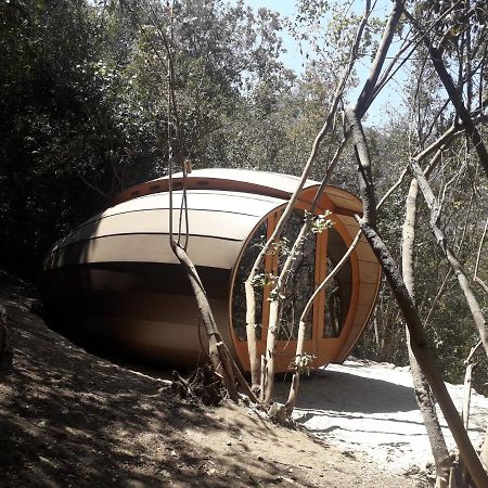 Biosfera Lodge Olmue Exterior photo