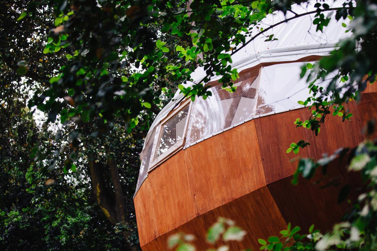 Biosfera Lodge Olmue Exterior photo