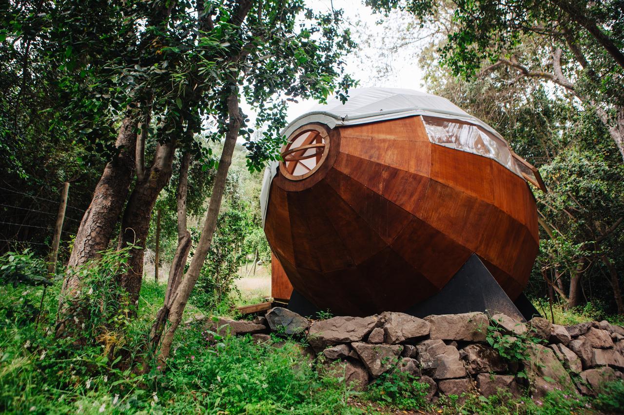 Biosfera Lodge Olmue Exterior photo