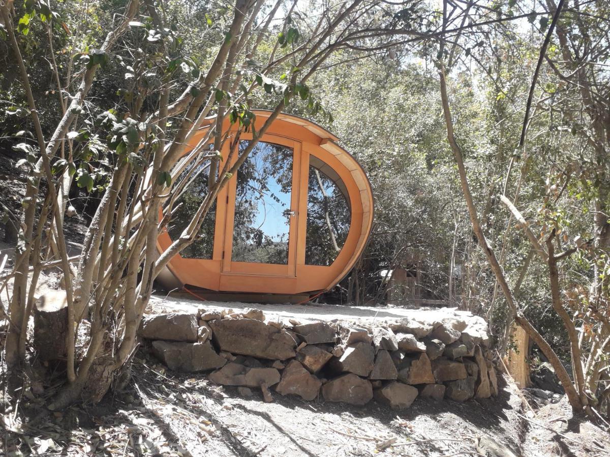 Biosfera Lodge Olmue Exterior photo